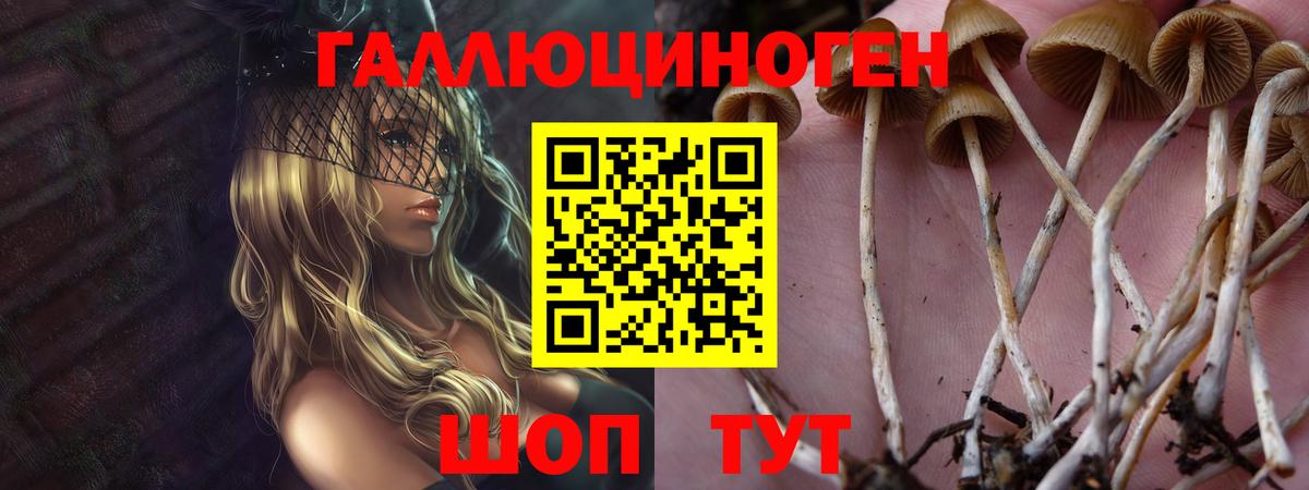 Муравленко  Галлюциногенные грибы мицелий  Вход с VPN  Галлюциногенные грибы Psilocybine cubensis 